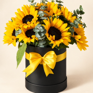 Arreglo de girasoles con follaje en caja negra y lazo amarillo