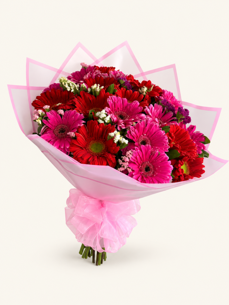 Buqué de 20 gerberas rojas y fucsias con flores de acompañamiento, envoltura rosada y lazo. Sobre fondo crema.