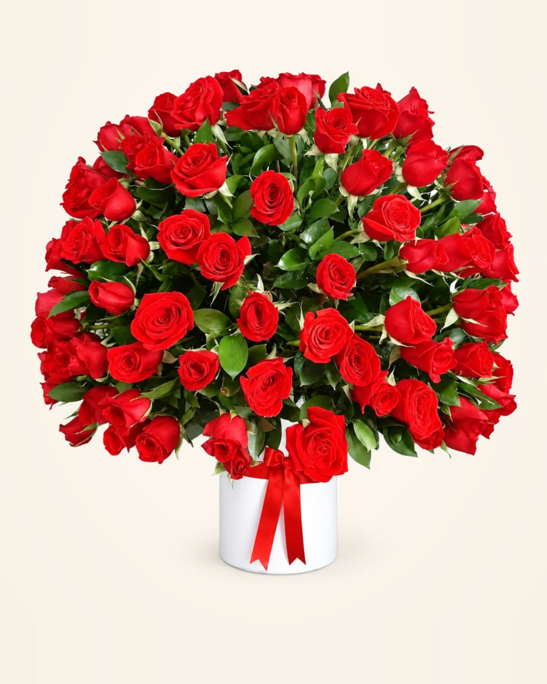 Cilindro de 100 rosas rojas
