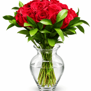 Arreglo de 24 rosas rojas con follaje verde en un jarrón transparente sobre fondo blanco