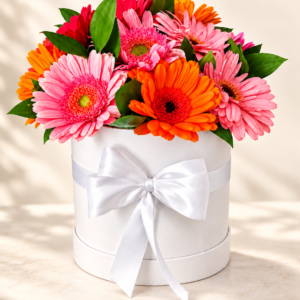 Gerberas rosadas, naranjas y rojas en caja redonda blanca con lazo