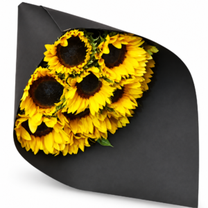 Ramo de 10 girasoles amarillos envuelto en cartulina negra sobre fondo blanco